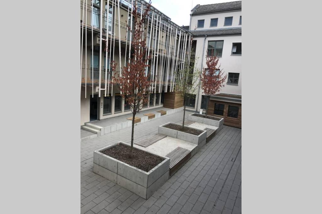 ויסבאדן Central, Modern, Mit Grossem Balkon Checkin123 מראה חיצוני תמונה